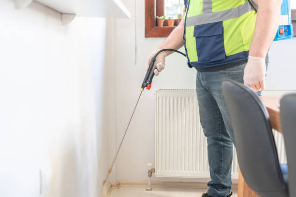 Trusted Dana Point, CA Pest Control Experts